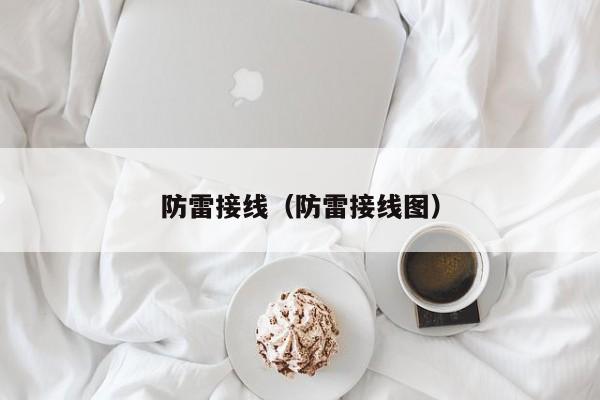 防雷接线（防雷接线图）